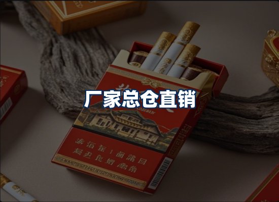 专业团队办公环境